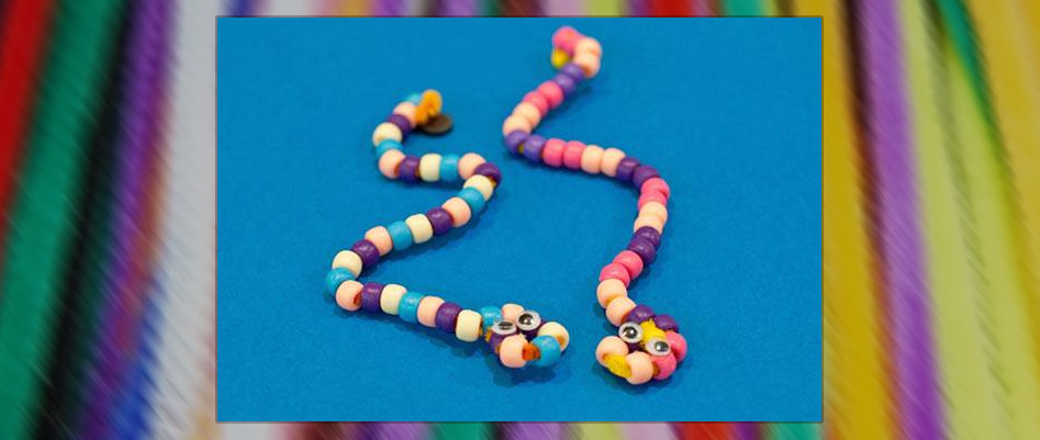 Pipe Cleaner Snake Craft